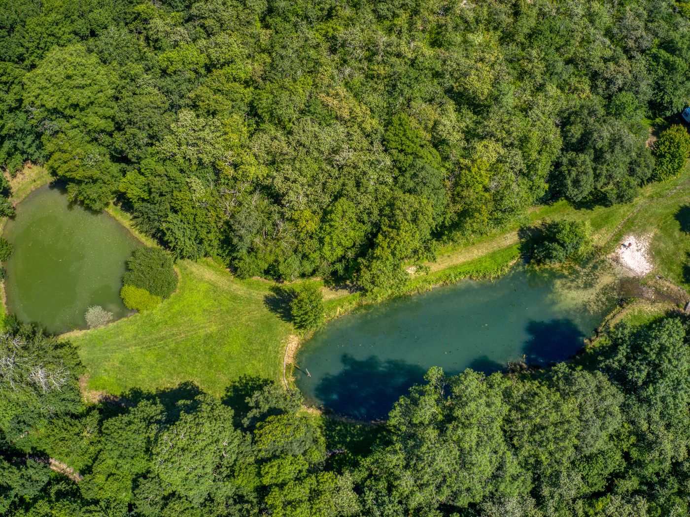 Het domein met de vijvers tussen de bossen, van boven