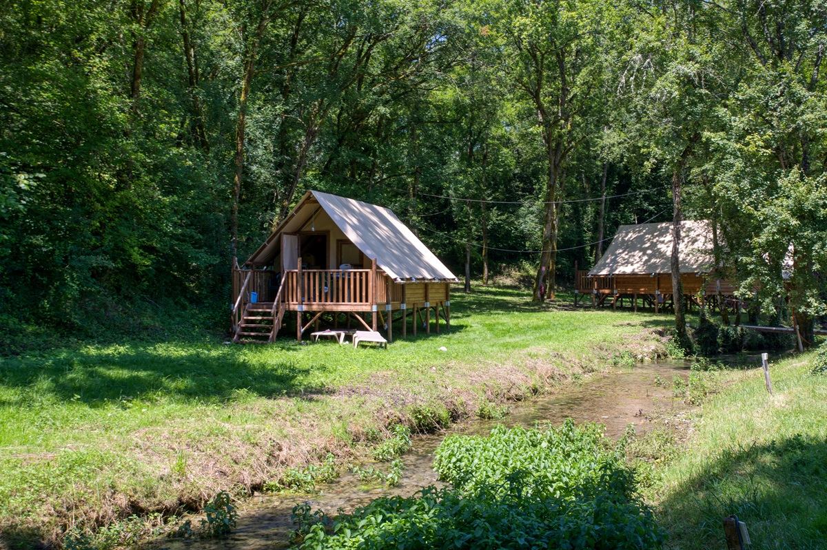 Amazonetenten langs het beekje