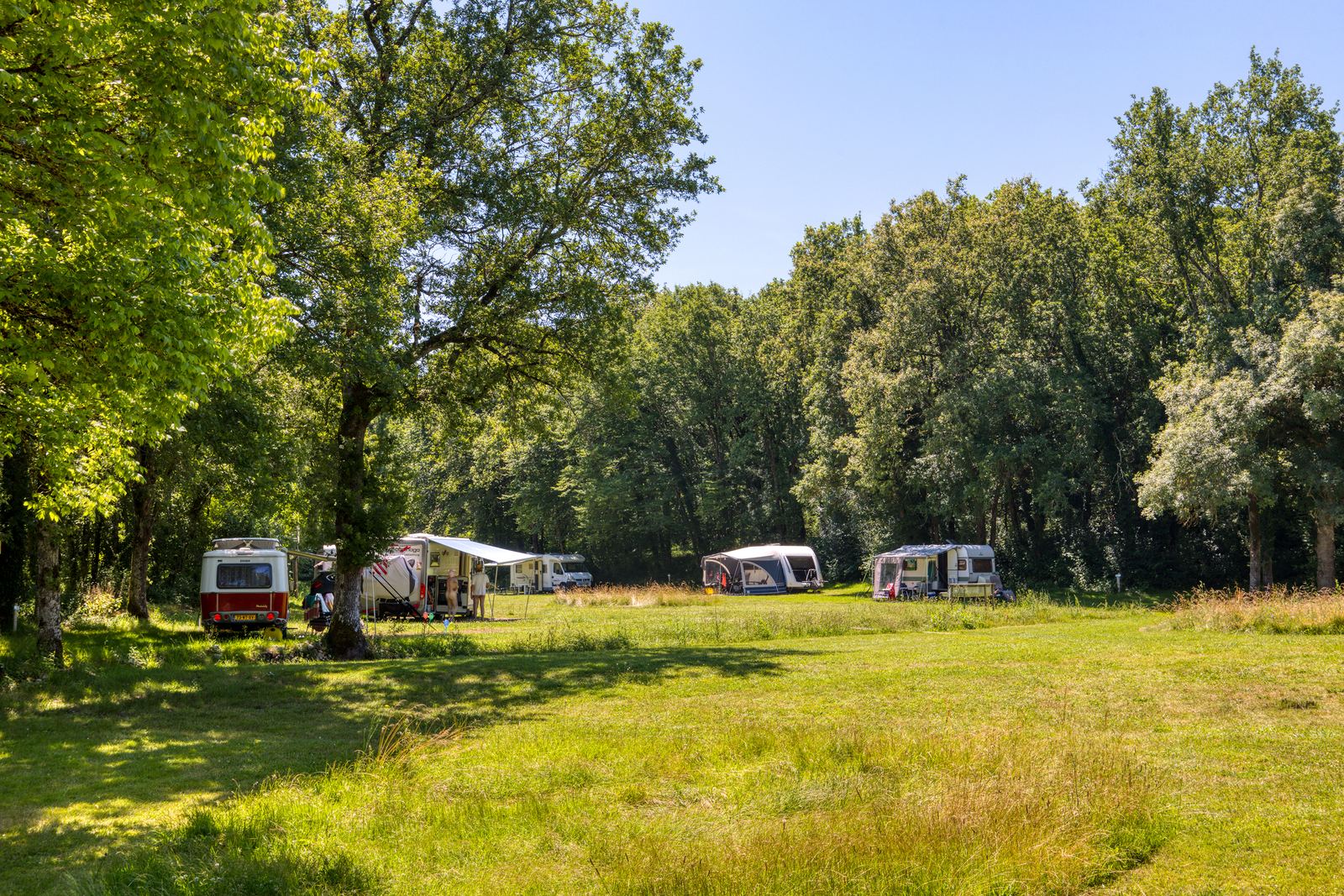 Kampeerweide tussen de bossen