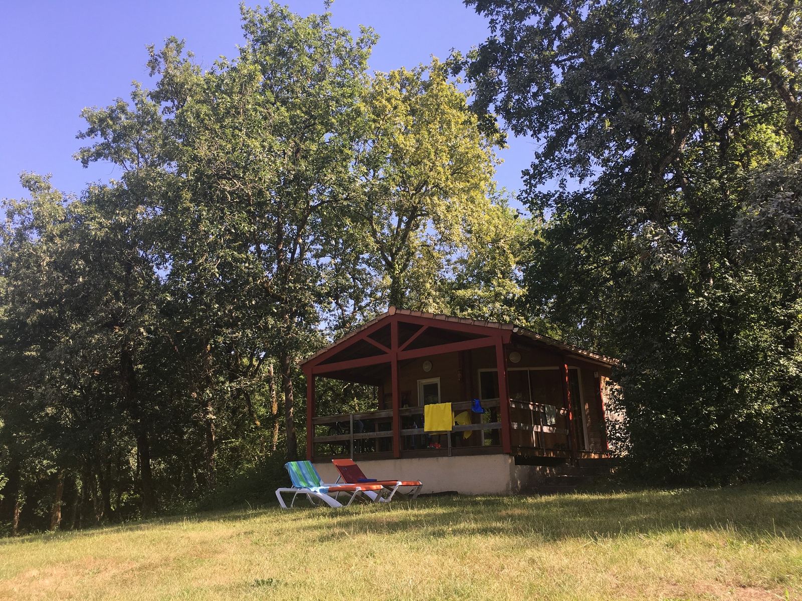 Chalet type 5 tussen de bomen