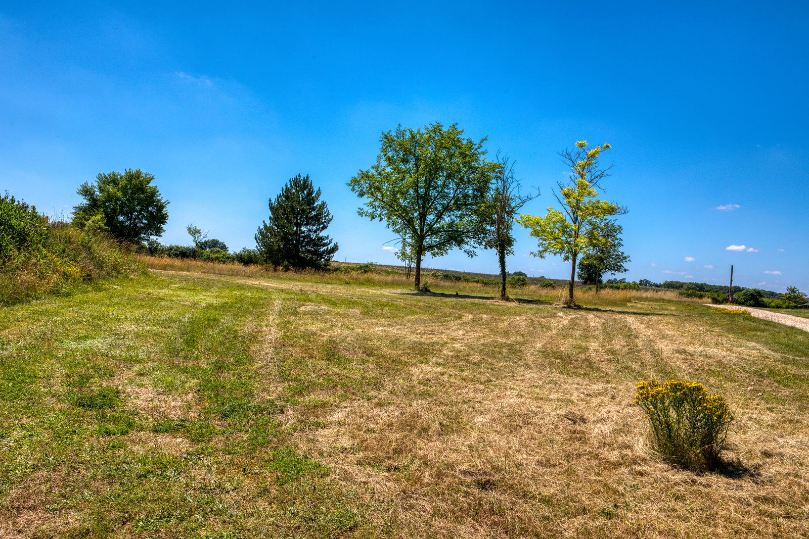 De hooggelegen bovenweide